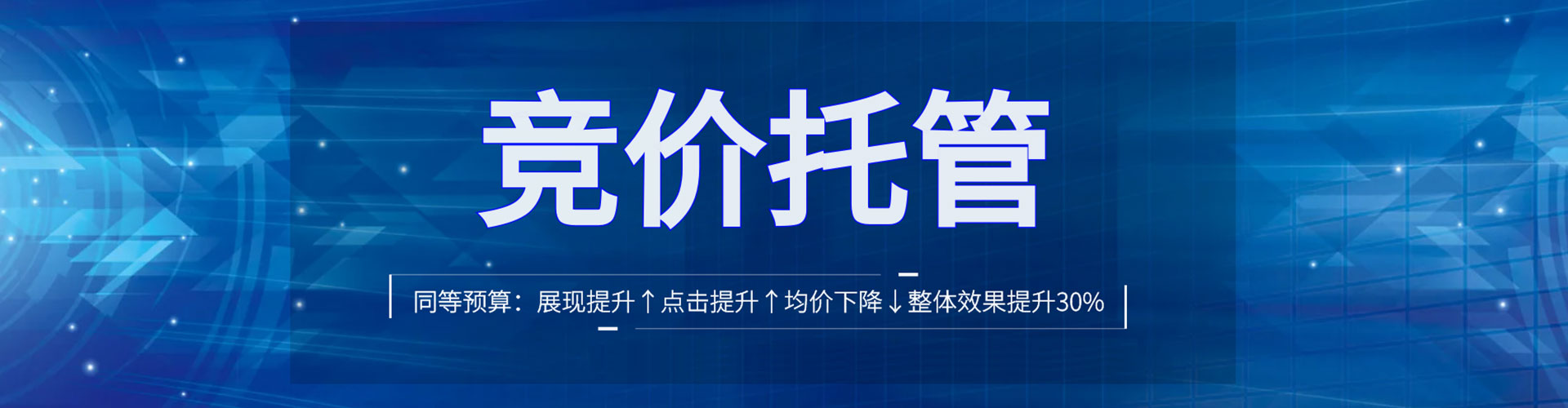 林口竞价代运营